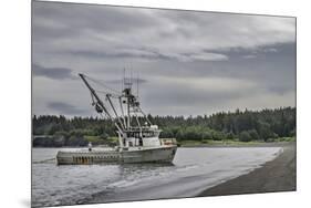 USA, Alaska, Kodiak, Chiniak Bay. Commercial fishing for salmon.-Frank Zurey-Mounted Photographic Print