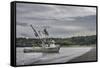 USA, Alaska, Kodiak, Chiniak Bay. Commercial fishing for salmon.-Frank Zurey-Framed Stretched Canvas