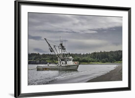 USA, Alaska, Kodiak, Chiniak Bay. Commercial fishing for salmon.-Frank Zurey-Framed Premium Photographic Print