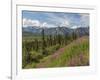 USA, Alaska. Landscape of Chugach Mountains.-Jaynes Gallery-Framed Photographic Print