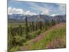 USA, Alaska. Landscape of Chugach Mountains.-Jaynes Gallery-Mounted Photographic Print