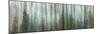 USA, Alaska, Misty Fiords National Monument. Panoramic collage of paint-splattered curtain.-Jaynes Gallery-Mounted Premium Photographic Print