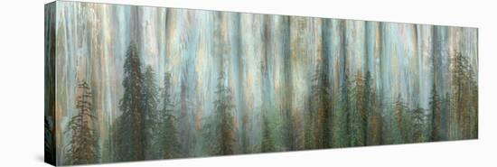 USA, Alaska, Misty Fiords National Monument. Panoramic collage of paint-splattered curtain.-Jaynes Gallery-Stretched Canvas