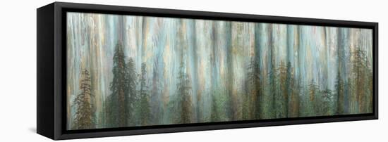 USA, Alaska, Misty Fiords National Monument. Panoramic collage of paint-splattered curtain.-Jaynes Gallery-Framed Stretched Canvas