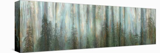 USA, Alaska, Misty Fiords National Monument. Panoramic collage of paint-splattered curtain.-Jaynes Gallery-Stretched Canvas