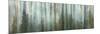 USA, Alaska, Misty Fiords National Monument. Panoramic collage of paint-splattered curtain.-Jaynes Gallery-Mounted Photographic Print