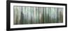 USA, Alaska, Misty Fiords National Monument. Panoramic collage of paint-splattered curtain.-Jaynes Gallery-Framed Photographic Print