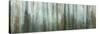 USA, Alaska, Misty Fiords National Monument. Panoramic collage of paint-splattered curtain.-Jaynes Gallery-Stretched Canvas