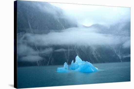 USA, Alaska, Near Juneau, Iceberg seen from Sawyer Glacier-Hutchison-Stretched Canvas