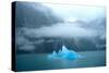 USA, Alaska, Near Juneau, Iceberg seen from Sawyer Glacier-Hutchison-Stretched Canvas