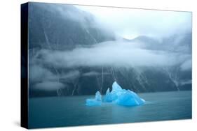 USA, Alaska, Near Juneau, Iceberg seen from Sawyer Glacier-Hutchison-Stretched Canvas