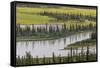 USA, Alaska, Nenana River Valley. Landscape of valley, river, and pond.-Jaynes Gallery-Framed Stretched Canvas