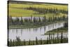 USA, Alaska, Nenana River Valley. Landscape of valley, river, and pond.-Jaynes Gallery-Stretched Canvas