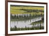 USA, Alaska, Nenana River Valley. Landscape of valley, river, and pond.-Jaynes Gallery-Framed Premium Photographic Print