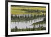 USA, Alaska, Nenana River Valley. Landscape of valley, river, and pond.-Jaynes Gallery-Framed Premium Photographic Print