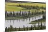 USA, Alaska, Nenana River Valley. Landscape of valley, river, and pond.-Jaynes Gallery-Mounted Premium Photographic Print