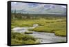 USA, Alaska, Nenana River Valley. Landscape with Seattle Creek.-Jaynes Gallery-Framed Stretched Canvas