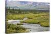 USA, Alaska, Nenana River Valley. Landscape with Seattle Creek.-Jaynes Gallery-Stretched Canvas