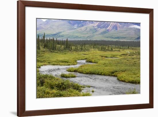 USA, Alaska, Nenana River Valley. Landscape with Seattle Creek.-Jaynes Gallery-Framed Premium Photographic Print