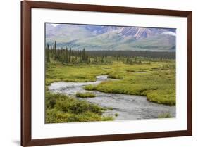 USA, Alaska, Nenana River Valley. Landscape with Seattle Creek.-Jaynes Gallery-Framed Premium Photographic Print