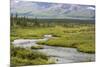 USA, Alaska, Nenana River Valley. Landscape with Seattle Creek.-Jaynes Gallery-Mounted Premium Photographic Print