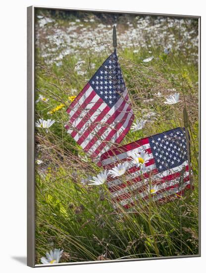 USA, Alaska, Ninilchik. US flags in American Legion Cemetery.-Jaynes Gallery-Framed Photographic Print