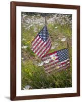 USA, Alaska, Ninilchik. US flags in American Legion Cemetery.-Jaynes Gallery-Framed Photographic Print