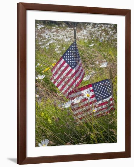 USA, Alaska, Ninilchik. US flags in American Legion Cemetery.-Jaynes Gallery-Framed Photographic Print