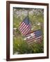 USA, Alaska, Ninilchik. US flags in American Legion Cemetery.-Jaynes Gallery-Framed Photographic Print