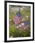 USA, Alaska, Ninilchik. US flags in American Legion Cemetery.-Jaynes Gallery-Framed Photographic Print