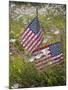 USA, Alaska, Ninilchik. US flags in American Legion Cemetery.-Jaynes Gallery-Mounted Photographic Print