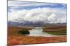 USA, Alaska, Noatak National Preserve. Arctic tundra in autumn colors along the Noatak River.-Fredrik Norrsell-Mounted Photographic Print