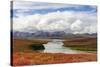 USA, Alaska, Noatak National Preserve. Arctic tundra in autumn colors along the Noatak River.-Fredrik Norrsell-Stretched Canvas