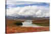 USA, Alaska, Noatak National Preserve. Arctic tundra in autumn colors along the Noatak River.-Fredrik Norrsell-Stretched Canvas