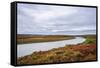 USA, Alaska, Noatak National Preserve. Autumn colors along the Noatak River.-Fredrik Norrsell-Framed Stretched Canvas