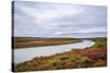 USA, Alaska, Noatak National Preserve. Autumn colors along the Noatak River.-Fredrik Norrsell-Stretched Canvas