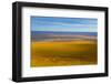 USA, Alaska, North Slope. Aerial of Ivishak River and tundra.-Jaynes Gallery-Framed Photographic Print