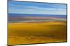 USA, Alaska, North Slope. Aerial of Ivishak River and tundra.-Jaynes Gallery-Mounted Photographic Print