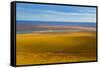 USA, Alaska, North Slope. Aerial of Ivishak River and tundra.-Jaynes Gallery-Framed Stretched Canvas