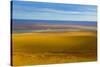 USA, Alaska, North Slope. Aerial of Ivishak River and tundra.-Jaynes Gallery-Stretched Canvas