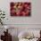 USA, Alaska of alpine bearberry and crowberry plants.-Jaynes Gallery-Stretched Canvas displayed on a wall