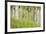 USA, Alaska. Paper birch trees and grass.-Jaynes Gallery-Framed Premium Photographic Print