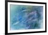 USA, Alaska, Potter's Marsh. Salmon spawning.-Jaynes Gallery-Framed Premium Photographic Print