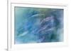 USA, Alaska, Potter's Marsh. Salmon spawning.-Jaynes Gallery-Framed Photographic Print