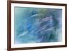 USA, Alaska, Potter's Marsh. Salmon spawning.-Jaynes Gallery-Framed Photographic Print