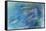 USA, Alaska, Potter's Marsh. Salmon spawning.-Jaynes Gallery-Framed Stretched Canvas