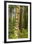 USA, Alaska, Prince of Wales Island, Kasaan. Totem pole and forest.-Jaynes Gallery-Framed Premium Photographic Print