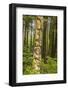 USA, Alaska, Prince of Wales Island, Kasaan. Totem pole and forest.-Jaynes Gallery-Framed Photographic Print