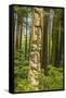 USA, Alaska, Prince of Wales Island, Kasaan. Totem pole and forest.-Jaynes Gallery-Framed Stretched Canvas