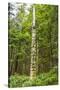 USA, Alaska, Prince of Wales Island, Kasaan. Totem pole and forest.-Jaynes Gallery-Stretched Canvas